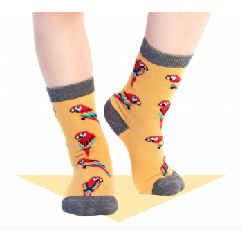 Calcetines "Parrots" de Jimmy Lion